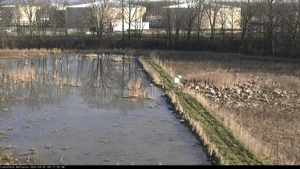 Cell 3 to 4_24-04-05_08-17-30-50