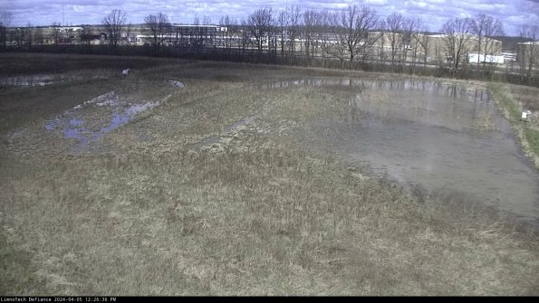 Cell 3_24-04-05_12-26-37-31