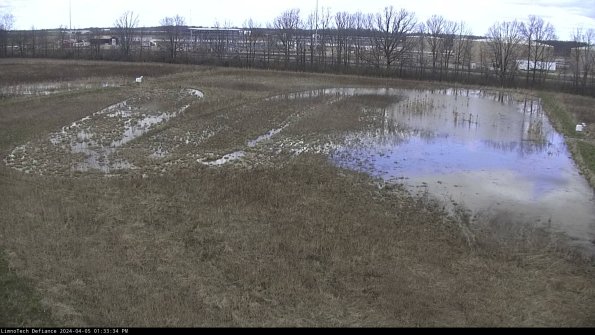 Cell 3_24-04-05_13-33-35-29