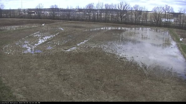 Cell 3_24-04-05_14-07-05-30