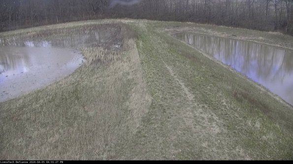 Cell 4 to Basin_24-04-05_16-55-28-33