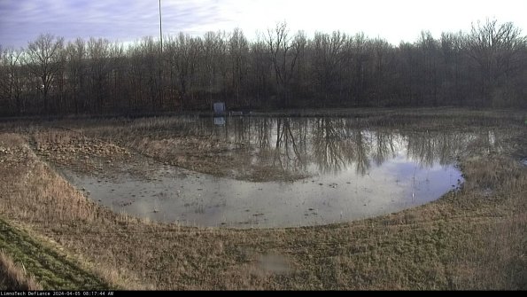 Cell 4_24-04-05_08-17-44-51