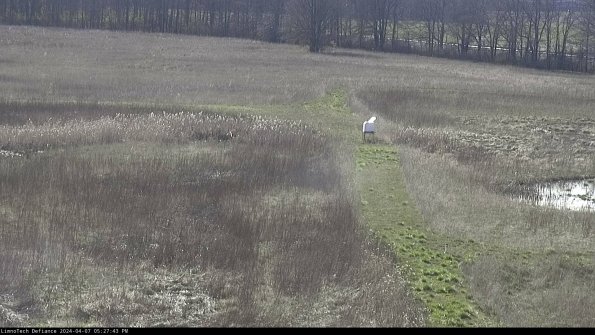 Cell 1 to 2_24-04-07_17-27-44-30