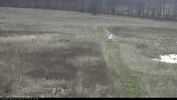 Cell 1 to 2_24-04-07_18-01-14-31