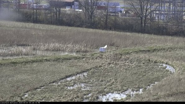 Cell 2 to 3_24-04-07_17-28-10-53