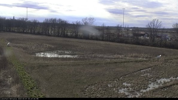 Cell 2_24-04-07_17-27-57-38