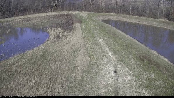 Cell 4 to Basin_24-04-07_17-29-23-34