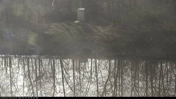 Basin Inflow_24-04-09_09-08-01-32