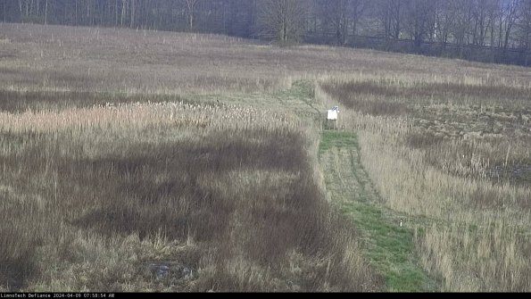 Cell 1 to 2_24-04-09_07-58-55-32