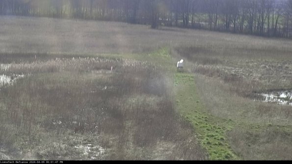 Cell 1 to 2_24-04-09_18-01-48-32