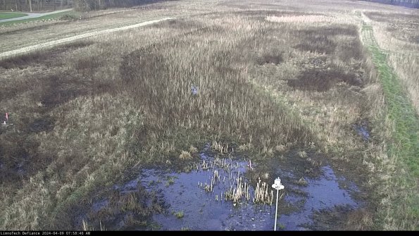 Cell 1_24-04-09_07-58-41-34