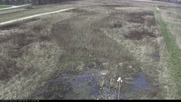 Cell 1_24-04-09_11-53-08-34