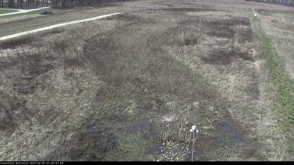 Cell 1_24-04-09_13-00-08-32