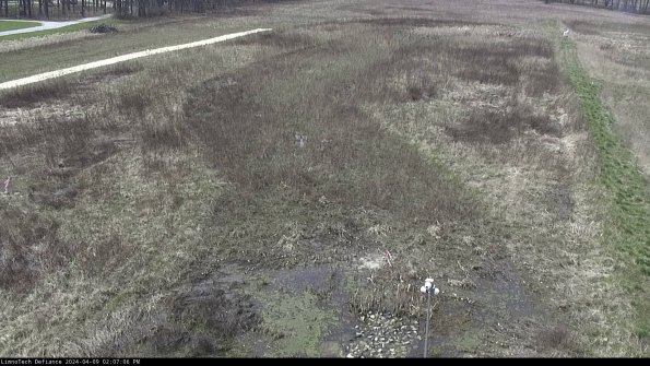 Cell 1_24-04-09_14-07-07-33