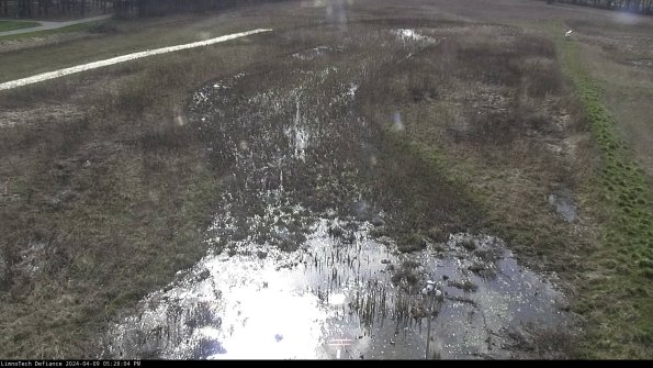 Cell 1_24-04-09_17-28-05-31