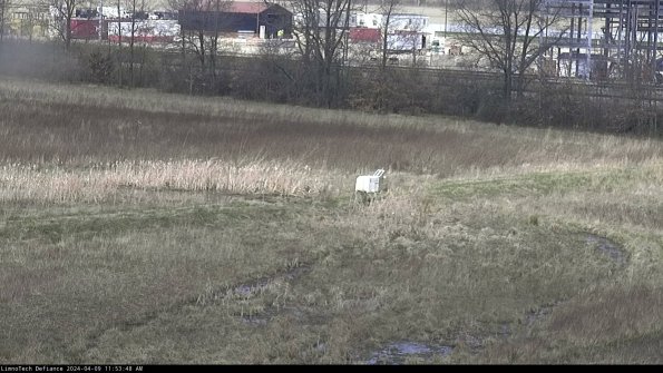 Cell 2 to 3_24-04-09_11-53-48-45