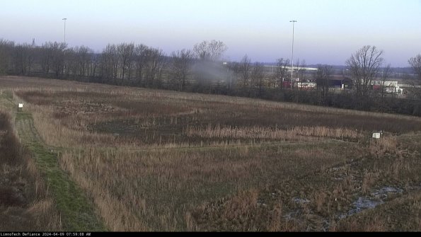 Cell 2_24-04-09_07-59-08-43