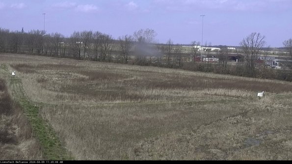 Cell 2_24-04-09_11-20-07-35