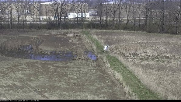 Cell 3 to 4_24-04-09_11-54-17-31