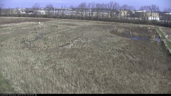 Cell 3_24-04-09_09-40-06-32