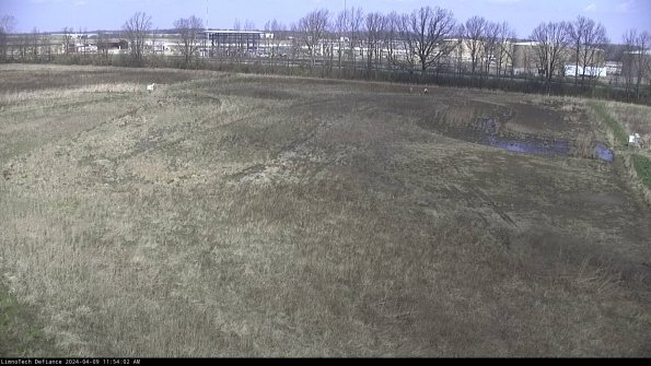 Cell 3_24-04-09_11-54-03-30