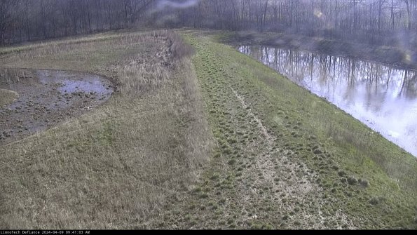 Cell 4 to Basin_24-04-09_09-41-04-31