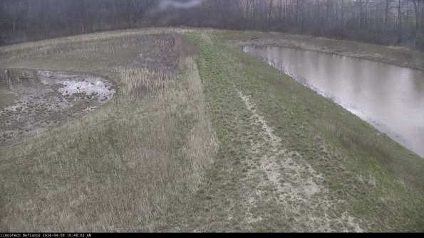 Cell 4 to Basin_24-04-09_10-48-03-31