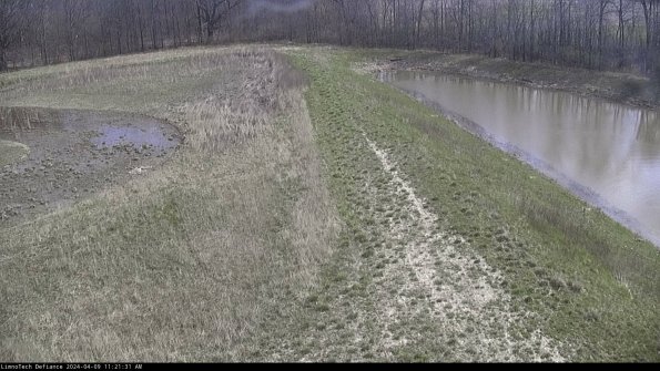 Cell 4 to Basin_24-04-09_11-21-32-33