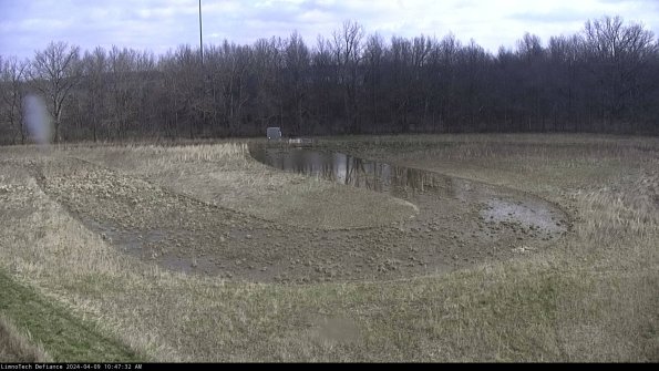 Cell 4_24-04-09_10-47-33-32