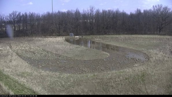 Cell 4_24-04-09_11-54-31-33