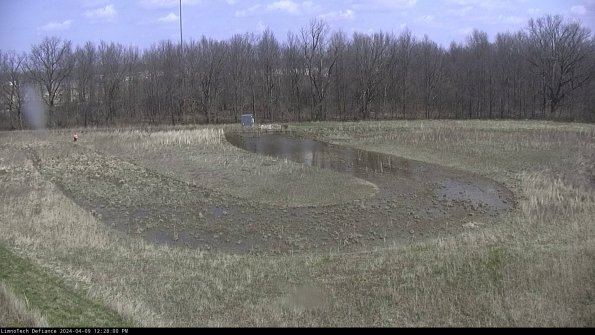 Cell 4_24-04-09_12-28-01-31