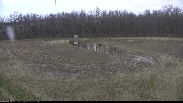 Cell 4_24-04-09_16-55-58-31