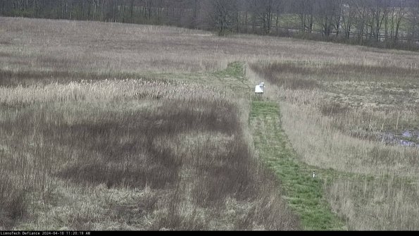 Cell 1 to 2_24-04-10_11-20-20-30