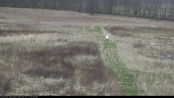 Cell 1 to 2_24-04-10_11-53-49-32