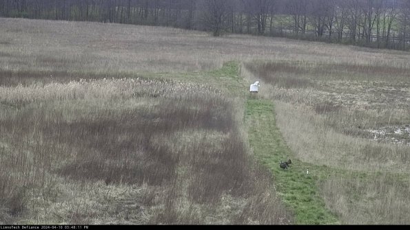 Cell 1 to 2_24-04-10_15-48-12-32