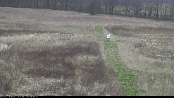 Cell 1 to 2_24-04-10_17-28-40-35