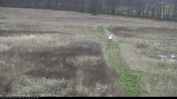 Cell 1 to 2_24-04-10_18-02-10-34