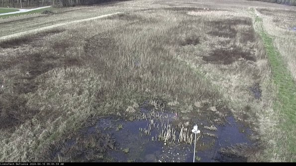 Cell 1_24-04-10_09-06-00-33