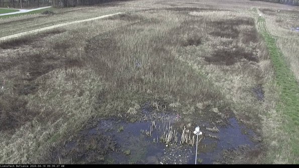 Cell 1_24-04-10_09-39-28-39