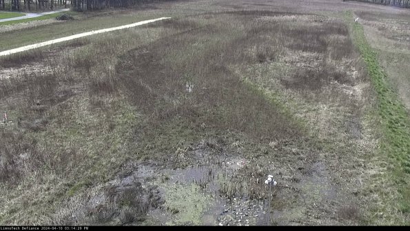 Cell 1_24-04-10_15-14-30-43