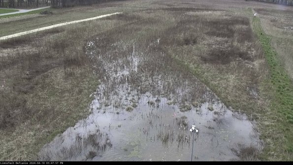 Cell 1_24-04-10_15-47-58-34