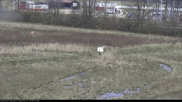 Cell 2 to 3_24-04-10_10-47-17-38