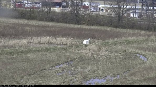 Cell 2 to 3_24-04-10_12-27-44-40