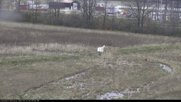 Cell 2 to 3_24-04-10_17-29-06-51