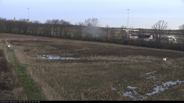 Cell 2_24-04-10_07-25-59-34