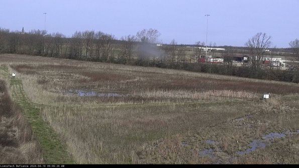 Cell 2_24-04-10_09-06-27-33