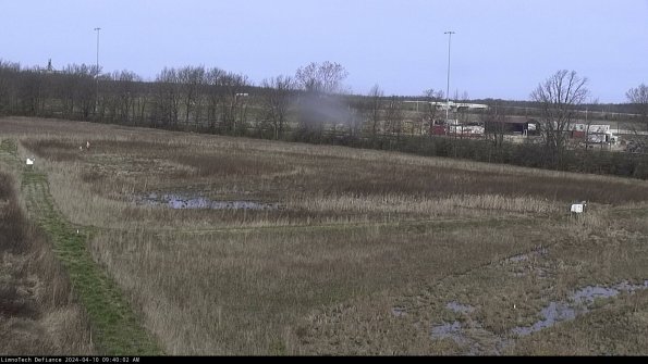 Cell 2_24-04-10_09-40-03-45