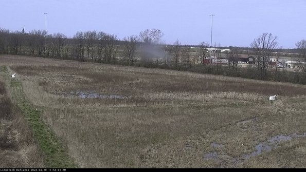 Cell 2_24-04-10_11-54-02-40