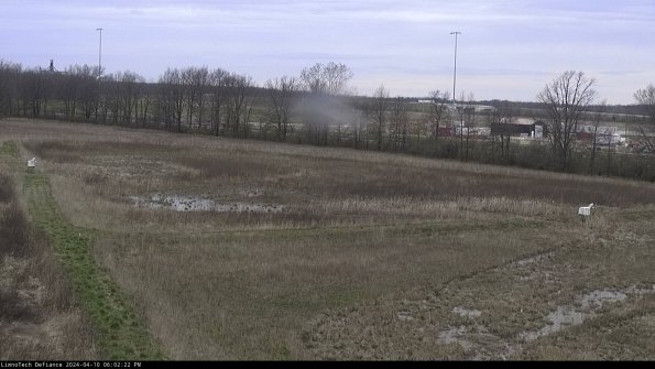 Cell 2_24-04-10_18-02-23-35