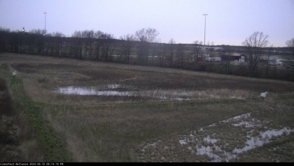 Cell 2_24-04-10_20-16-20-35